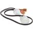 Switch Float Ice Thickness, 040001783