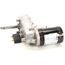 Motor 220/240/50/60, 5000869