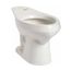 Summit Elongated Toilet Bowl (White)