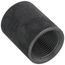 3/4" Black Steel Merchant Coupling