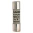 Fast-Acting Cylindrical Fuse, 20A, A15QS20-2