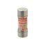 6 A 20.6 mm Dia Cylindrical Fast-Acting Fuse Glass, A4J6