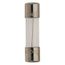 Time Delay Cylindrical Fuse, 5x20mm, 0.32A, 250V, GDG315/1000-MSC