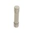 1 A 1-1/4" OAL 1/4" Dia Cylindrical Time Delay Fuse 250V Ceramic (Pack of 5), GSA1-MSC