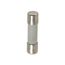 1 A 20 mm OAL 5 mm Dia Cylindrical Fast-Acting Fuse 250V Ceramic (Pack of 5), GSD1-MSC