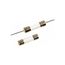 5 A 20 mm OAL 5 mm Dia Cylindrical Fast-Acting Fuse 250V Ceramic (Pack of 5), GSD5-MSC