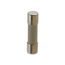 8 A 20 mm OAL 5 mm Dia Cylindrical Fast-Acting Fuse 250V Ceramic (Pack of 5), GSD8-MSC