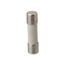 1 A 20 mm OAL 5 mm Dia Cylindrical Time Delay Fuse 250V Ceramic (Pack of 5), GSF1-MSC