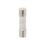 10 A 20 mm OAL 5 mm Dia Cylindrical Time Delay Fuse 250V Ceramic (Pack of 5), GSF10-MSC