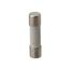 8 A 20 mm OAL 5 mm Dia Cylindrical Time Delay Fuse 250V Ceramic (Pack of 5), GSF8-MSC