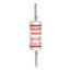 Form 600 Type 3 Special-Purpose Fuse, 500V, 80A, A2Y80-3