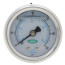 MF Series Pressure Gauge