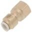 1/4" OD x 1/4" Brass Threaded FFL Female Connector (Lead Free)