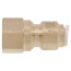1/4" OD x 1/4" Brass Threaded FFL Female Connector (Lead Free)