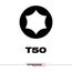 SHOCKWAVE 1" Impact TORX T55 Insert Bits (Pack of 25), 48-32-4189