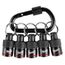 5-Piece Bit Holder w/ Carabiner