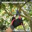 1" Angled Pruner, 48-22-9378