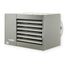 PTP300 Horizontal Power Vented Unit Heater w/ Aluminized Steel Heat Exchanger & Direct Spark Ignition - 300,000 BTU (Natural Gas)