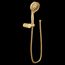 Engage Brushed Gold 4 Function 5-1/2" Diameter Handheld Shower, 1.75 Gpm, 3636EPBG