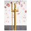 Align Brushed Gold 1 Handle Tub Filler Includes Hand Shower, 395BG