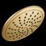 Brushed Gold 1 Function 8" Diameter Spray Head Eco-performance Rainshower, 6345EPBG