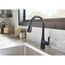 Arbor Matte Black 1 Handle Pulldown Kitchen Faucet, 7594BL