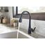 Arbor Matte Black 1 Handle Pulldown Kitchen Faucet, 7594BL