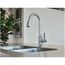 Genta Lx Chrome 1 Handle Pulldown Kitchen Faucet, 7882