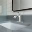 Karis Chrome 1 Handle High Arc Bathroom Faucet, 84346
