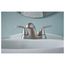Adler Spot Resist Brushed Nickel 2 Handle Bathroom Faucet, 84603SRN