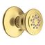 Polished Brass Body Spray, A501p