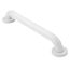 Glacier 18" Concealed Screw Grab Bar, R8718w