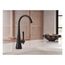 Moen Matte Black 1 Handle Single Mount Beverage Faucet, S5560BL