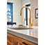 Sto Brushed Gold 1 Handle Pulldown Kitchen Faucet, S62308BG