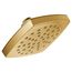 Brushed Gold 1 Function 6" Diameter Spray Head Eco-performance Rainshower, 2.5 Gpm, S6365EPBG