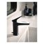 Via Matte Black/chrome 1 Handle Bathroom Faucet, S8000BLC