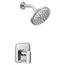 Rizon Chrome Eco Performance M-core 3-series Shower Trim, 1.75 Gpm, UT3812EP