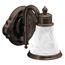 Waterhill 1 Globe Bath Vanity Light (Oil Rubbed Bronze), YB9861ORB