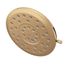 Verso 8 Function 7" Diameter Spray Head Rainshower, 2.5 GPM, 220R7BG (Brushed Gold)