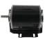 56 Frame Motor, 277V, 1/3 HP, 1725 RPM, MOT11580