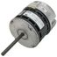 Variable Speed Motor, 1/2 HP, 120/240V, MOT13935