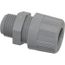 0.25-0.312" Liquidtight Straight Cord Grip, 5524