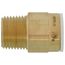 1/2" CTS x 1/2" NPT Speedfit Brass Male Connector (Low Lead)