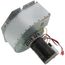 Inducer Assembly (115V, 1/8 HP, 3450 RPM)