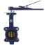 2" Lug Cast Iron Butterfly Valve, EPDM Cartridge, Lever Handle (200 PSI)