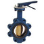 4" Lug Cast Iron Butterfly Valve, EPDM, Ductile Iron Disc, Lever (200 PSI)