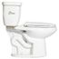 Sentinel Single-Flush ADA Compliant Toilet Tank Only, 1.28 GPF (White)