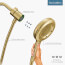 Quattro Handheld Shower, 4-Spray Pattern (Brushed Gold), N400H0BG
