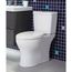 Phantom Single-Flush ADA Compliant Toilet Tank Only, 0.8 GPF (White)