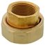 1" Bottom Inlet Union Female NPT Fittings (Set of 2)